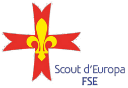Scout LOGO.png