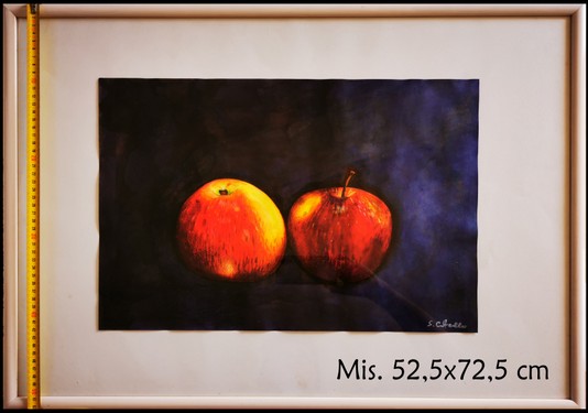 7_52,5x 72,5.jpg